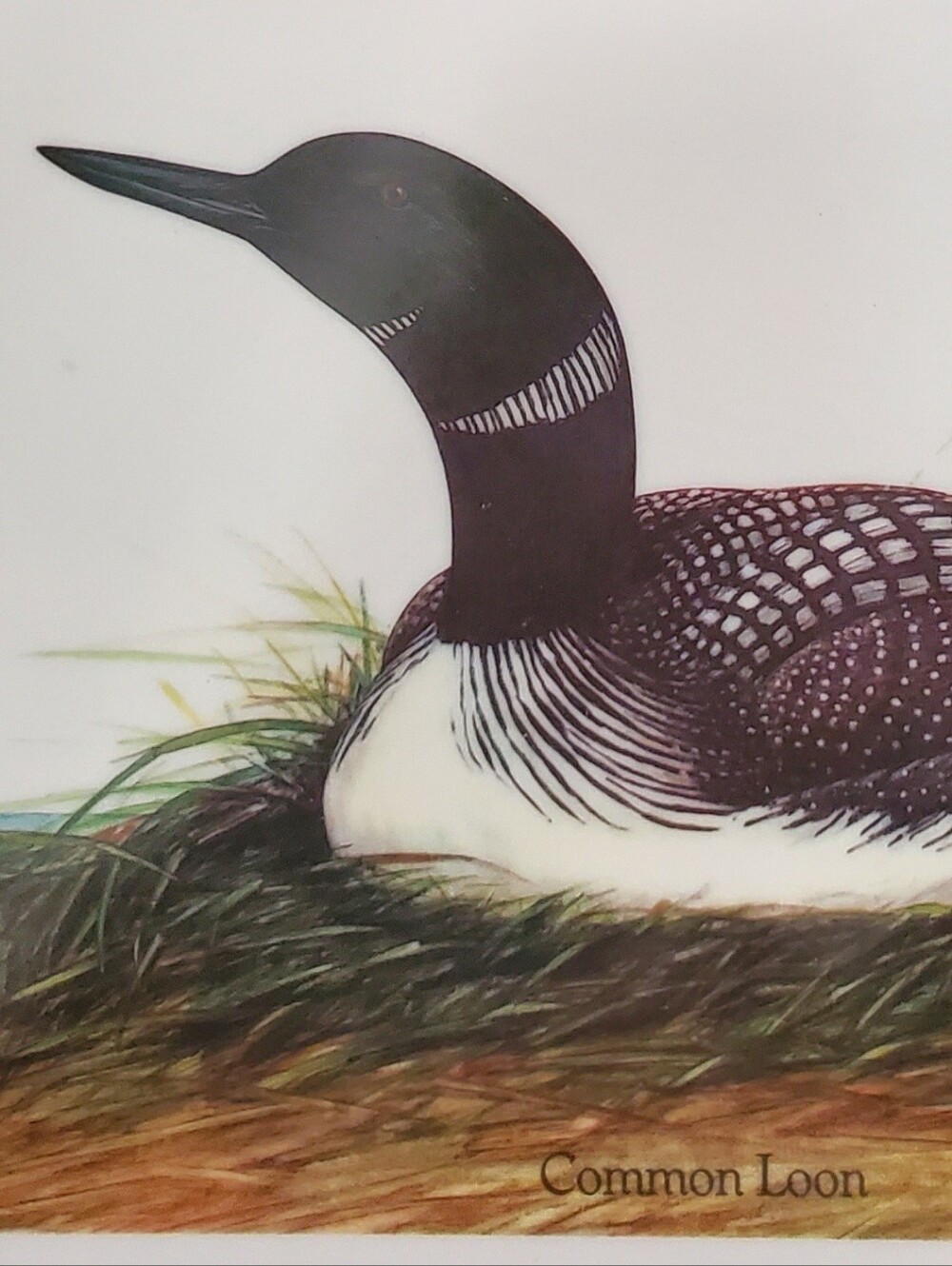 Vintage John Marshall Common Loon Wood Ceramic Tile Cutting Board Trivet Cabin - Picture 7 of 9